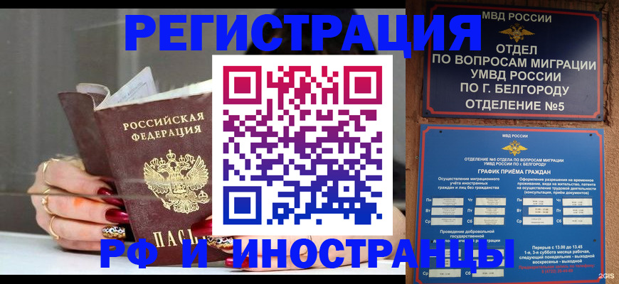 прописка в Старом Осколе